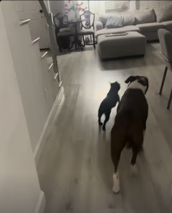 Hockey Game | Sports Fans !!!